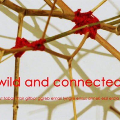 Ausstellung „wild and connected“