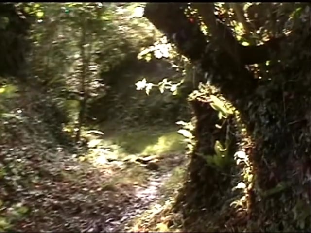 vimeo placeholder image