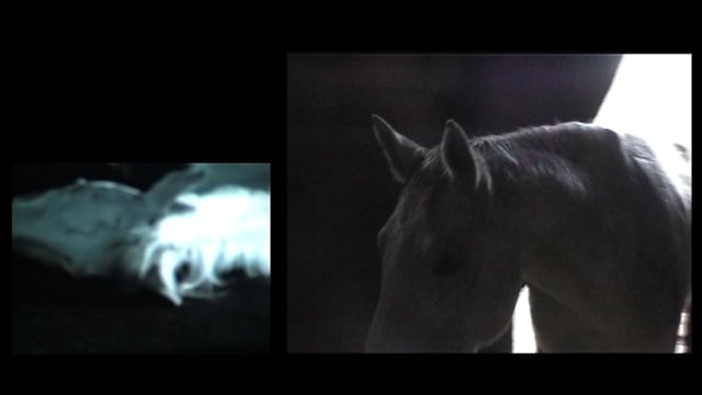vimeo placeholder image